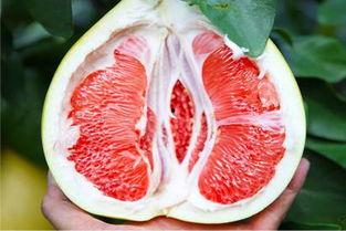 58元5斤网红水果超市,品质生活从此开启！”